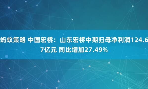 蚂蚁策略 中国宏桥：山东宏桥中期归母净利润124.67亿元 同比增加27.49%