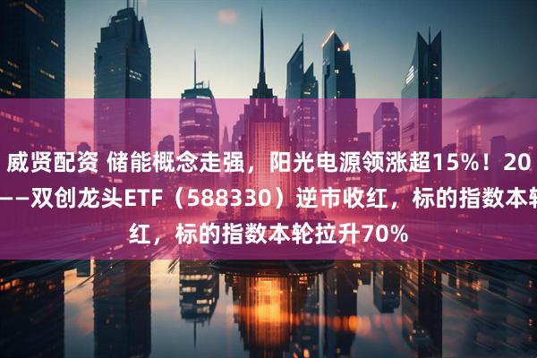 威贤配资 储能概念走强，阳光电源领涨超15%！20CM高弹性——双创龙头ETF（588330）逆市收红，标的指数本轮拉升70%