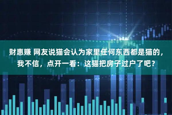 财惠赚 网友说猫会认为家里任何东西都是猫的，我不信，点开一看：这猫把房子过户了吧？